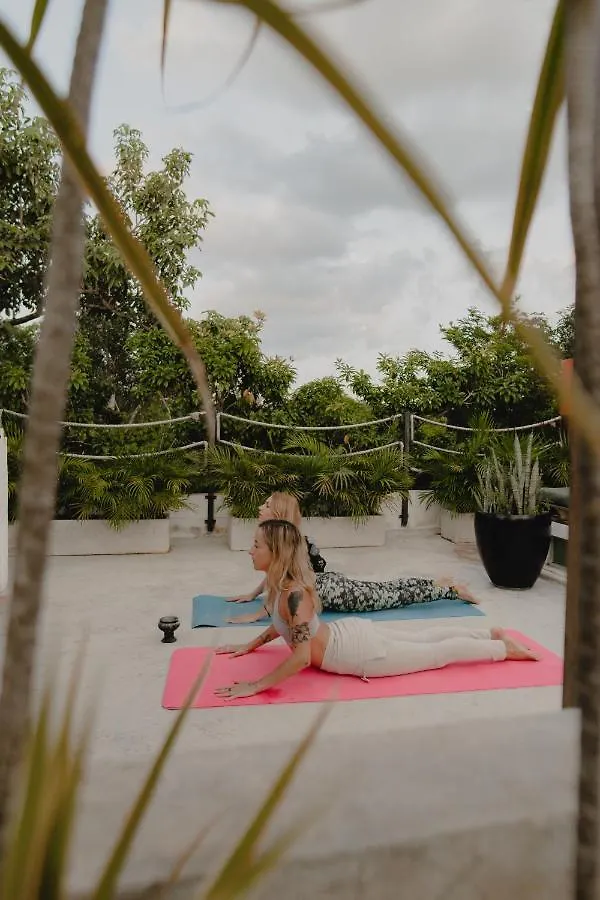 Villa Ujo 100 Mb Wifi 2 Private Pools Tulum Mexico
